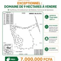 Lire la suite à propos de l’article Domaine de 9 hectares à vendre