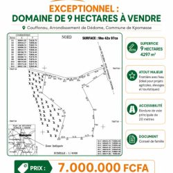 You are currently viewing Domaine de 9 hectares à vendre