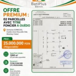 Lire la suite à propos de l’article 02 parcelle avec titre foncier à ouedo
