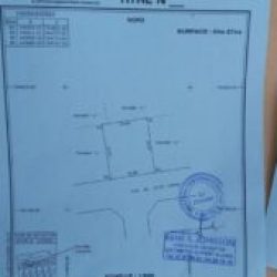 Lire la suite à propos de l’article 2 Terrain a vendre 376 m² et 427 m² au total :803 m²