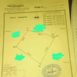 Lire la suite à propos de l’article Terrain a vendre : Un hectare